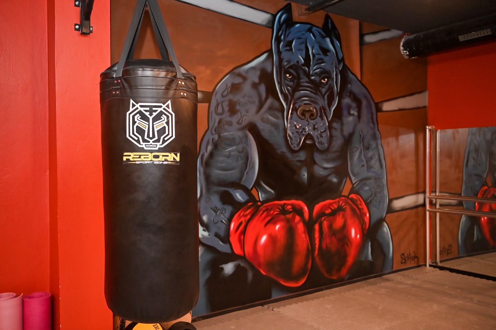 Dövüş sporları duvar resmi